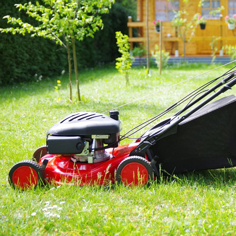 Move Yourself Lawn Mower Hire